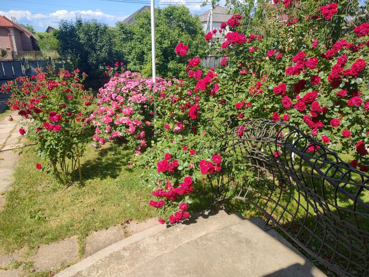 "Ранчо" - Тераса Квіти Сад Uzhhorod Exterior foto
